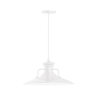 Homestead One Light Pendant in Light Blue (518|PEB14354C21G05)