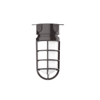 Vaportite One Light Flush Mount in Architectural Bronze (518|FMC05051)