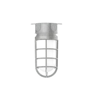 Vaportite One Light Flush Mount in Painted Galvanized (518|FMC05049)