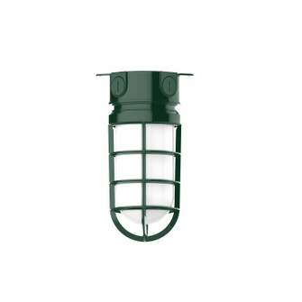 Vaportite One Light Flush Mount in Forest Green (518|FMC05042)