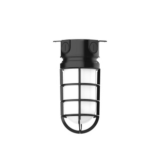 Vaportite One Light Flush Mount in Black (518|FMC05041)