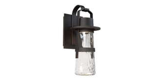 Balthus LED Outdoor Wall Sconce in Black (281|WSW28521BK)
