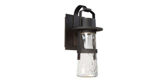 Balthus LED Outdoor Wall Sconce in Black (281|WSW28514BK)