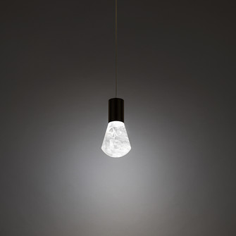 Plum LED Mini Pendant in Black (281|PD40106BK)