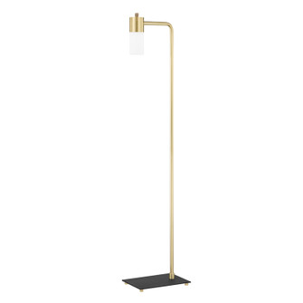 Lola LED Floor Lamp in Aged Brass (428|HL461401AGB)