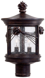 Abbey Lane Two Light Post Mount in Iron Oxide (7|9156A357)