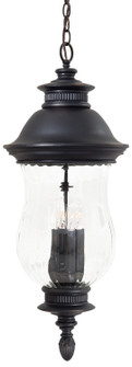 Newport Four Light Chain Hung in Heritage (7|890494)