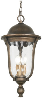 Havenwood Four Light Outdoor Chain Hung in Tauira Bronze And Alder Silver (7|73247748)