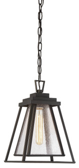 Sleepy Hollow One Light Chain Hung Lantern in Dakota Bronze (7|73114226)