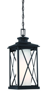 Lansdale One Light Chain Hung Outdoor in Coal (7|7268466)
