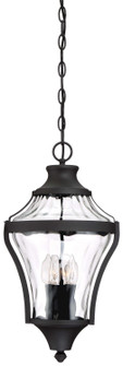 Libre Four Light Outdoor Chain Hung in Coal (7|7256466)