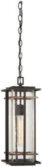 San Marcos One Light Outdoor Chain Hung Lantern in Black w/Antique Copper (7|7249468)