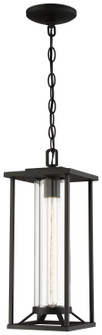 Trescott One Light Chain Hung Lantern in Coal (7|7247466)