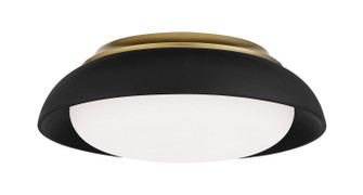 LED Flush Mount in Coal W/Honey Gold Highlight (7|719661L)