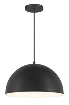 Vantage Pendants One Light Hanging Lantern in Coal (7|620366A)