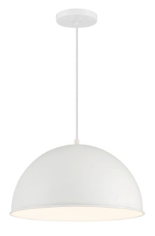 Vantage Pendants One Light Hanging Lantern in White (7|620344)