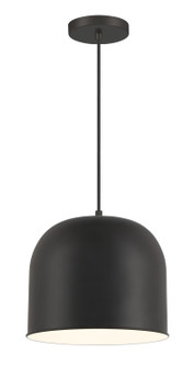 Vantage Pendants One Light Hanging Lantern in Coal (7|620266A)