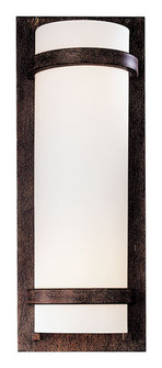Two Light Wall Sconce in Iron Oxide (7|341357)
