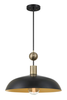 Biloxi One Light Pendant in Coal And Weathered Antique Bra (7|1996862)