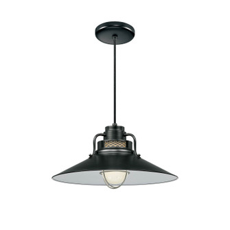 R Series One Light Pendant in Satin Black (59|RRRC18SB)