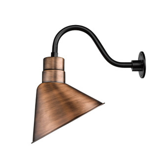 R Series One Light Pendant in Natural Copper (59|RAS12NC)