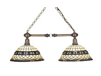 Tiffany Roman Two Light Island Pendant in Mahogany Bronze (57|27408)