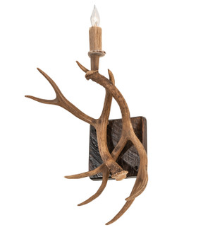 Antlers One Light Wall Sconce in Natural Antler (57|247849)