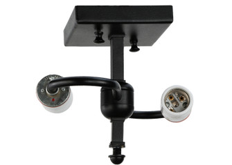Semi-Flushmount Hardware Two Light Semi Flushmount in Bronze (57|20841)