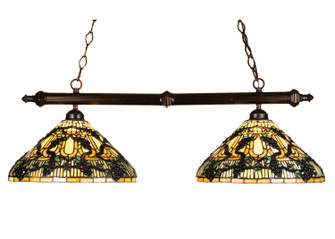 Jeweled Grape Two Light Island Pendant in Mahogany Bronze (57|18847)