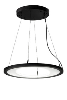 Anillo Oblong Pendant in Solar Black (57|177529)