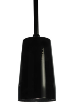 Shaken One Light Mini Pendant in Black Mirror Powdercoat (57|129890)