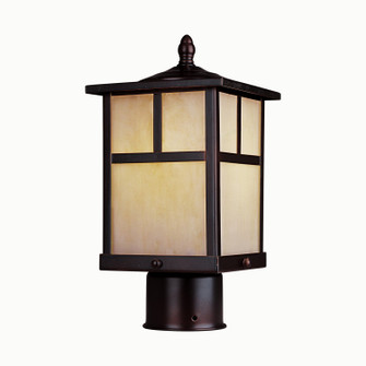 Coldwater One Light Outdoor Pole/Post Lantern in Burnished (16|4055HOBU)