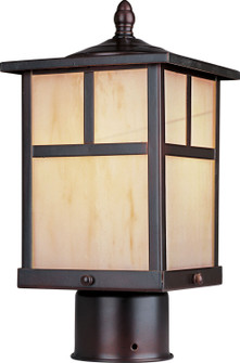 Coldwater One Light Outdoor Pole/Post Lantern in Burnished (16|4055HOBU)