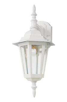 Builder Cast One Light Outdoor Wall Lantern in White (16|3002CLWT)