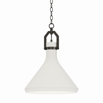 Lumi One Light Pendant in Black (16|12383WTBK)