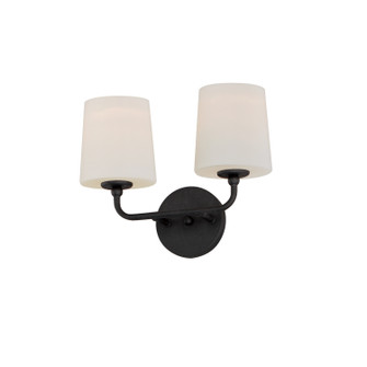 Bristol Two Light Wall Sconce in Anthracite (16|12092SWAR)