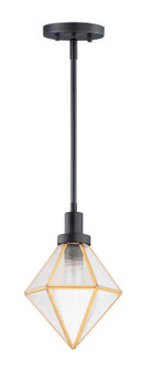 Adorn One Light Pendant in Black / Burnished Brass (16|11555BKBUB)