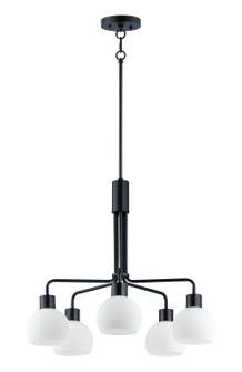 Coraline Five Light Chandelier in Black (16|11277SWBK)