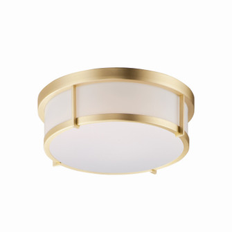 Rogue LED LED Flush Mount in Satin Brass (16|10273WTSBR)