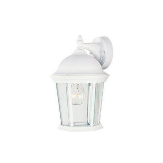 Builder Cast One Light Outdoor Wall Lantern in White (16|1024WT) Builder Cast One Light Outdoor Wall Lantern in White (16|1024WT)