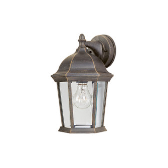 Builder Cast One Light Outdoor Wall Lantern in Rust Patina (16|1024RP)