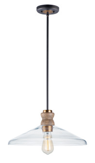 Nelson One Light Pendant in Weathered Oak / Antique Brass (16|10100CLWOAB)