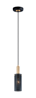 Perf One Light Mini Pendant in Black / Satin Brass (16|10081BKSBR)