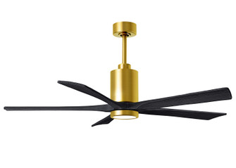Patricia-5 60'' Ceiling Fan in Brushed Brass (101|PA5BRBRBK60)