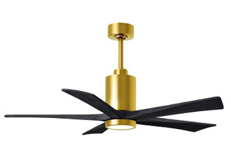 Patricia-5 52'' Ceiling Fan in Brushed Brass (101|PA5BRBRBK52)