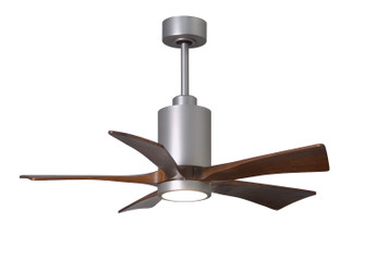 Patricia 42'' Ceiling Fan in Brushed Nickel (101|PA5BNWA42)