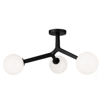 Rami Three Light Ceiling Mount in Black (423|X81503BKOP)