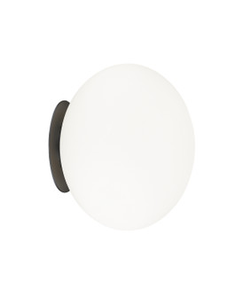 Mayu One Light Wall Sconce/Ceiling Mount in Black (423|WX12111BKOP)