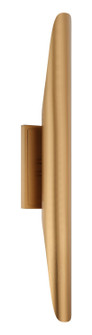Stylus Two Light Wall Sconce in Aged Gold Brass (423|W32422AG)
