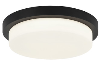 Durham LED Ceiling Mount in Matte Black (423|M15902MB)